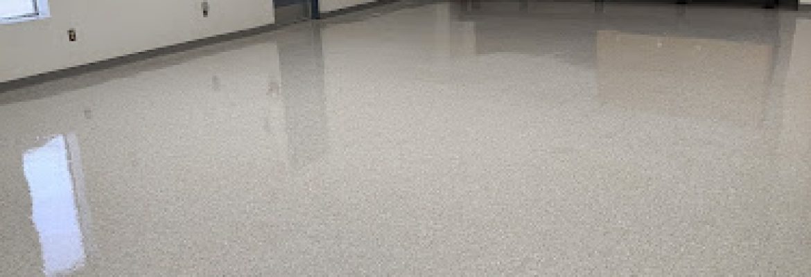 DZ Cleaning Services