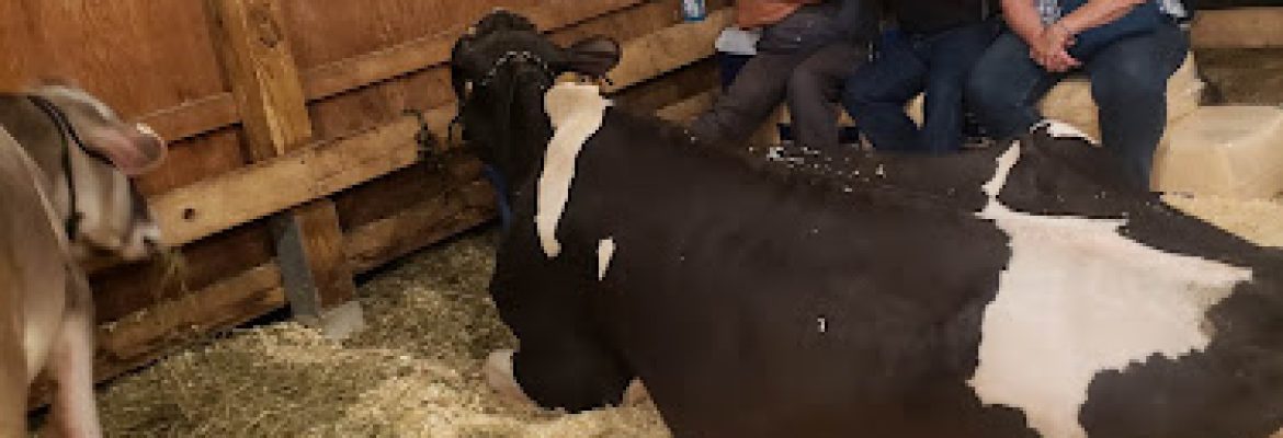 Bridgewater Country Fair
