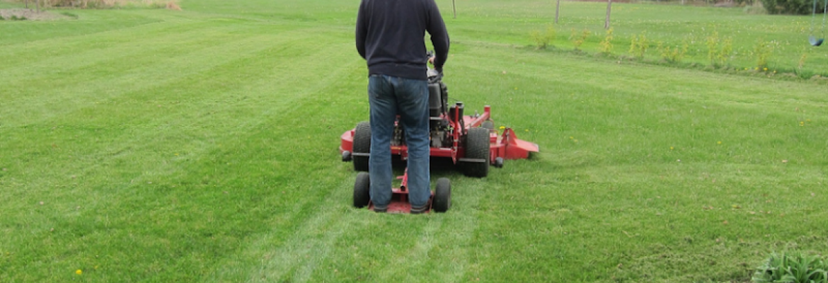 Pro Landscaping of Southbury
