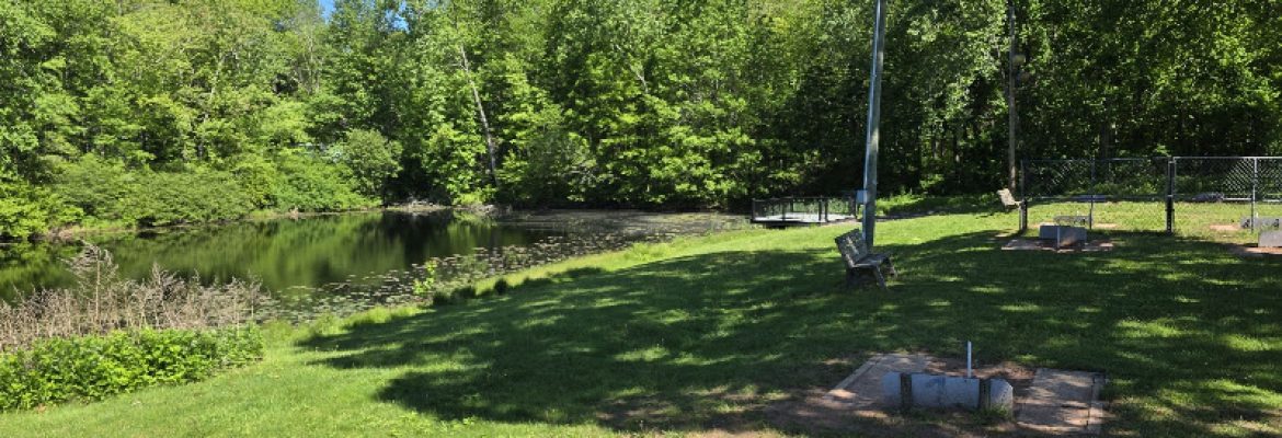 Irene Sheldon Park