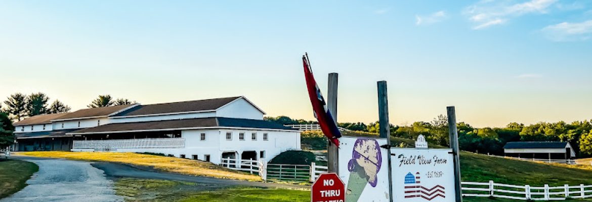 Field View Farm Stand