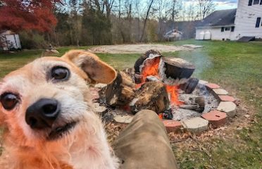New Fairfield Sherman Animal Welfare