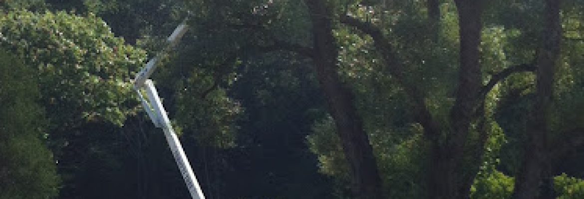Perotti Tree Surgeons LLC