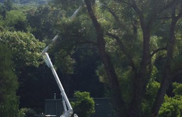 Perotti Tree Surgeons LLC