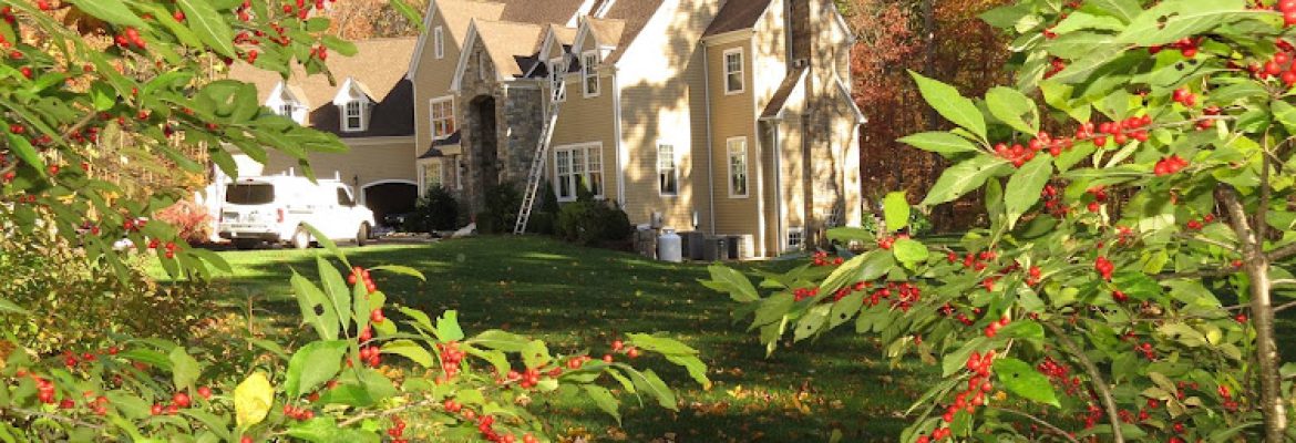 A and M Quality Painting LLC