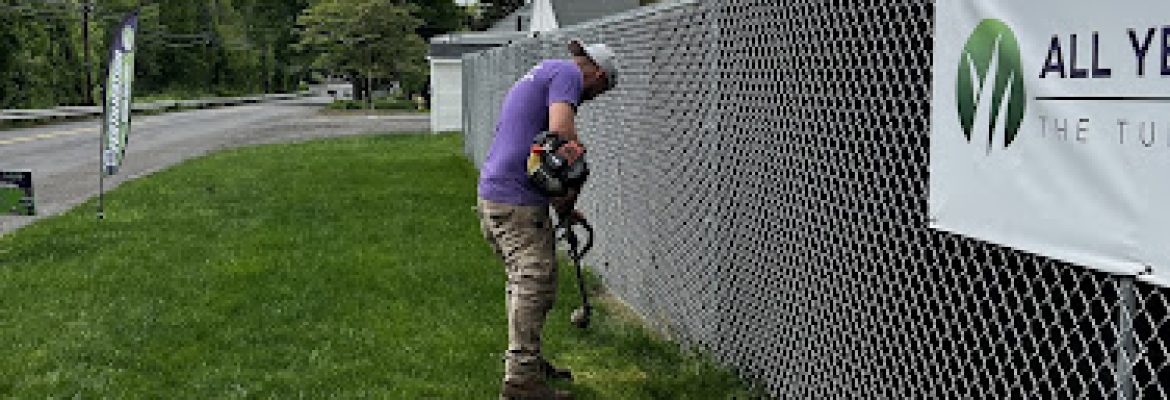 All Year Lawn LLC