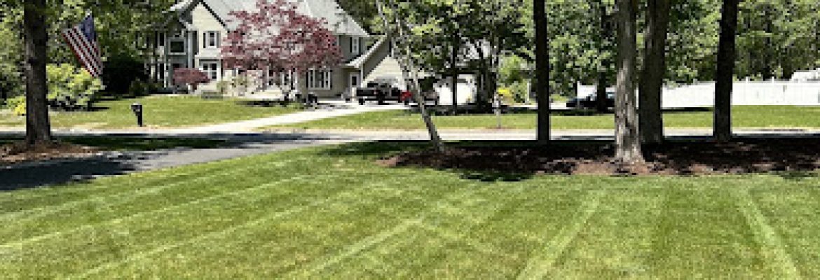 Battle Buddies Landscaping & Lawn Care under Forest Rose LLC