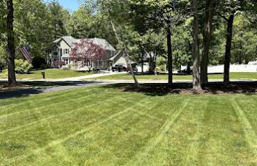 Battle Buddies Landscaping & Lawn Care under Forest Rose LLC