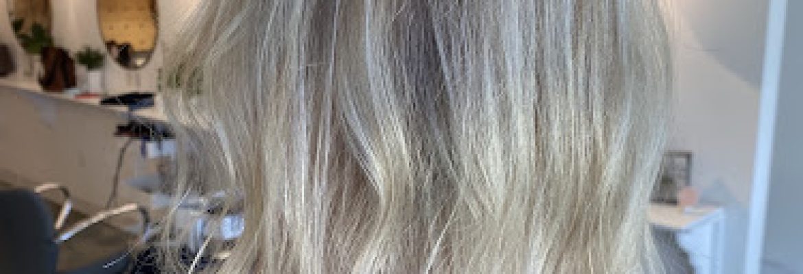 The Balayage Bar by Lollie