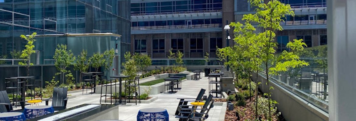 Eric Rains Landscape Architecture