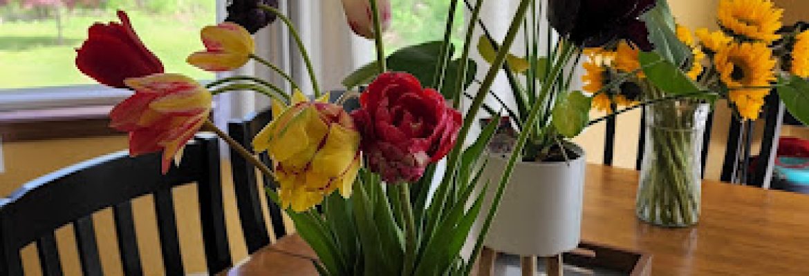 Wicked Tulips – Preston CT
