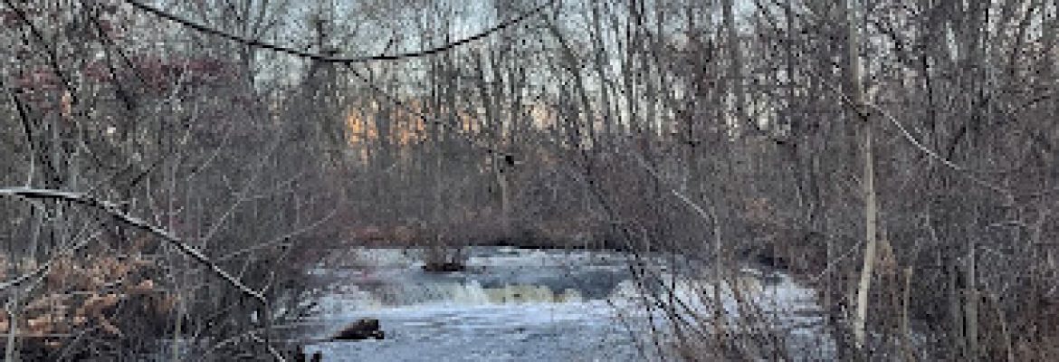 Beardsley Falls
