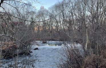 Beardsley Falls