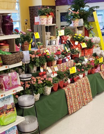 Stop & Shop Florist