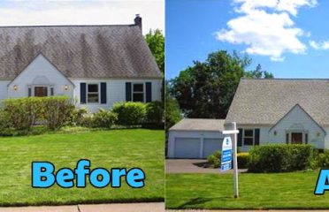 Panoramic Pressure Cleaning