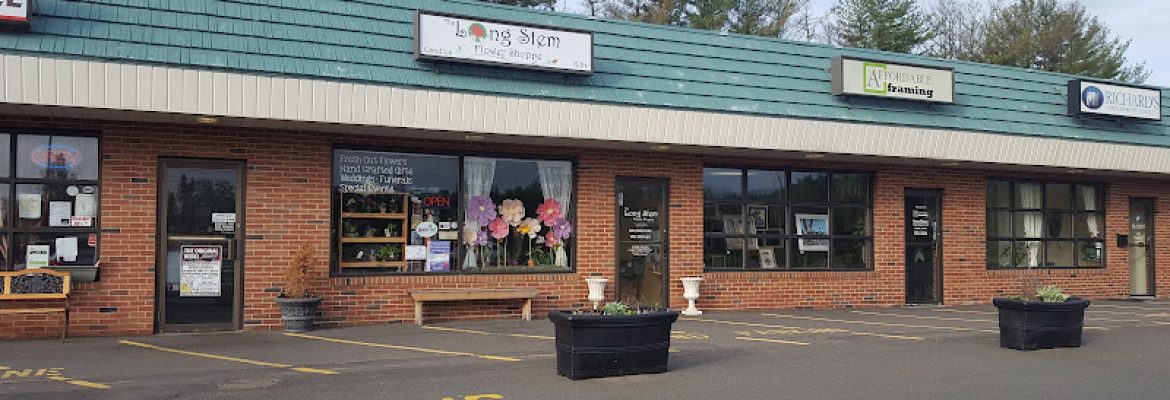 The Long Stem Flower Shoppe