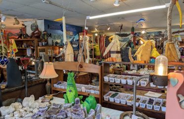 MINE in Mystic