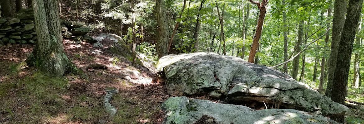 The Church Farm Blue Trail