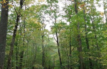 Colonel Ledyard Park