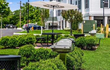 Star Deluxe Apartments Milford by Metro Star