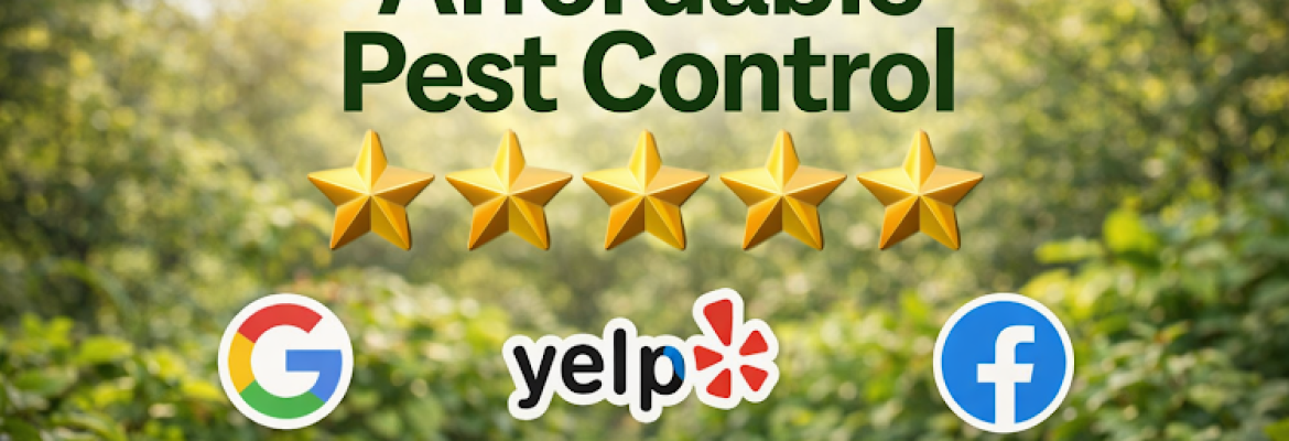 Affordable Pest Control