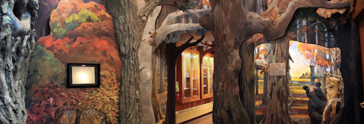 Roaring Brook Nature Center