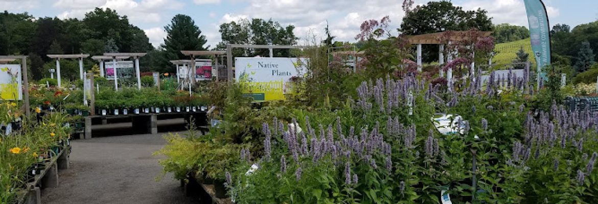 Van Wilgen’s Garden Center