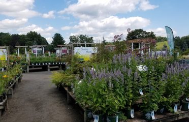 Van Wilgen’s Garden Center