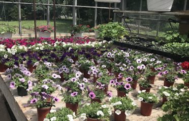 Country Farm Nursery