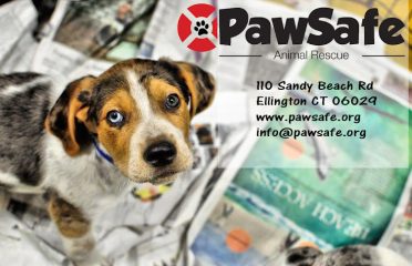 PawSafe Animal Rescue, Inc.