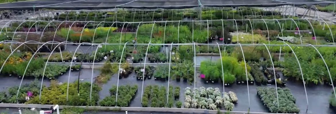 Planters’ Choice Nursery