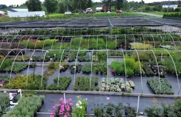 Planters’ Choice Nursery
