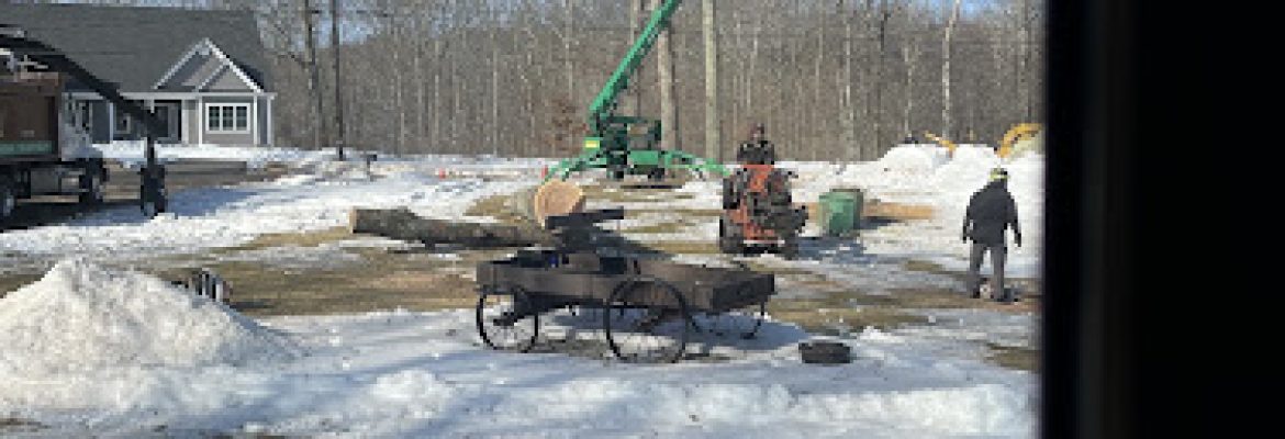 The Tree Company, LLC