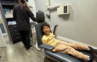 The Little Tooth Company