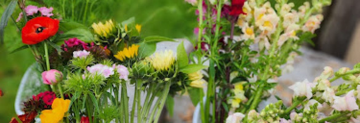 Flower Hour Farm
