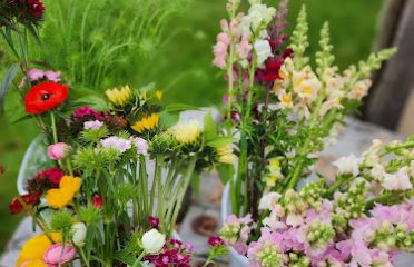 Flower Hour Farm
