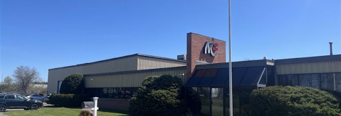 Mercury Excelum Inc