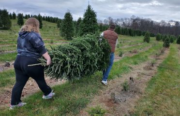 Dzen Farms