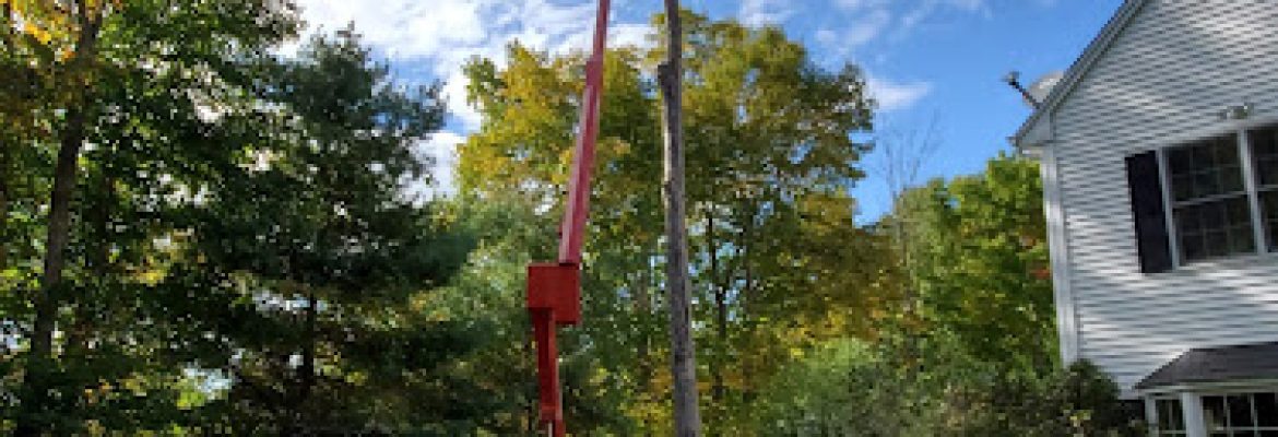 Blackstone Landscaping & Tree Service