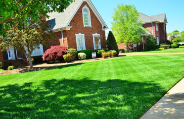 Roxbury Landscaping Tree service Roxbury