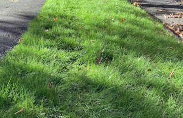Natural Choice Lawn & Tree Care