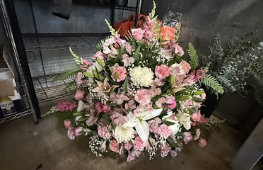 Vazquez Flowers and gifs