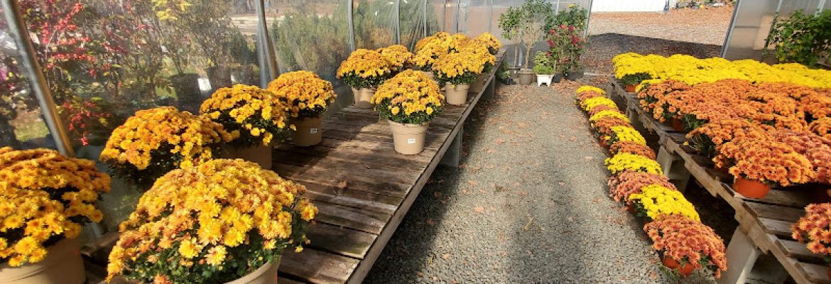 Mellilo’s Greenhouse & General Store
