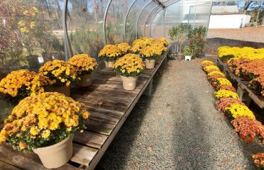 Mellilo’s Greenhouse & General Store