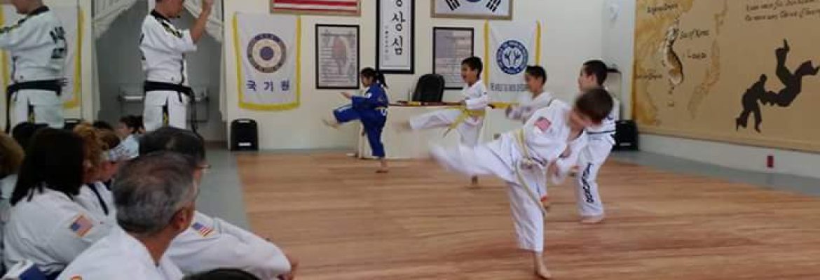 Martial Arts SPIRIT Academy