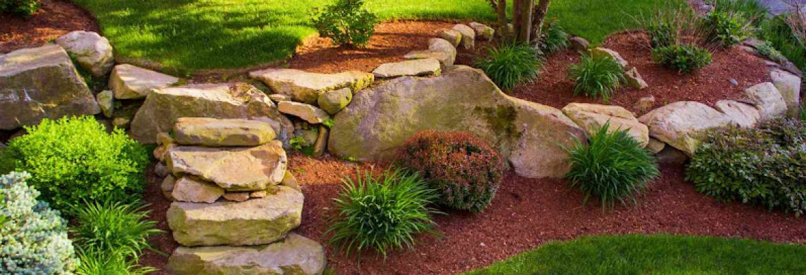 Martin’s Landscaping Inc