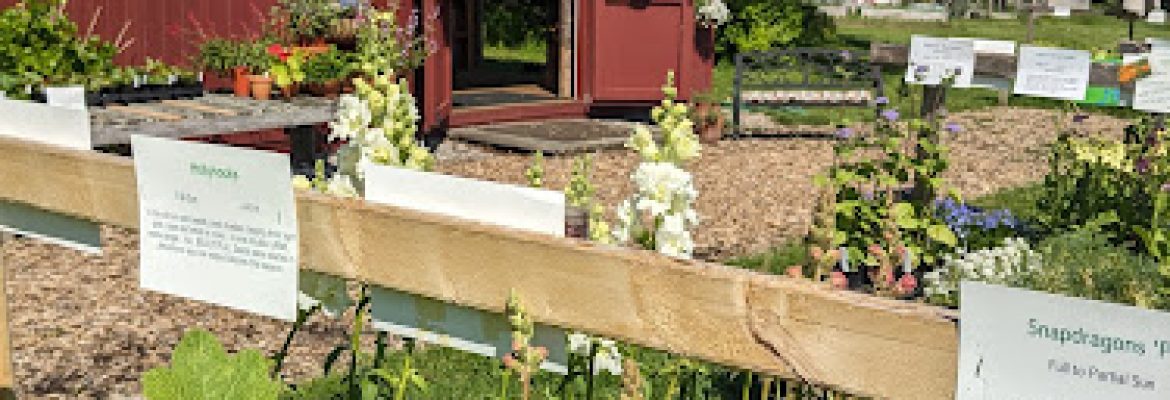 East Meadow Farm and Orchard
