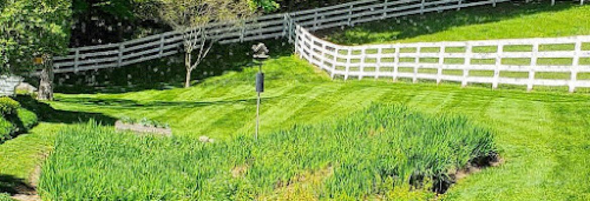 CM Landscaping And Snow Removal