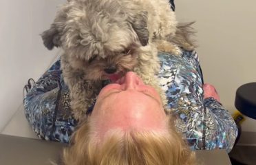 Dr. Peter McAllister. Westport Ct