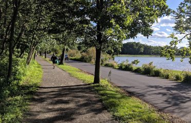 Greenwich Point Beach